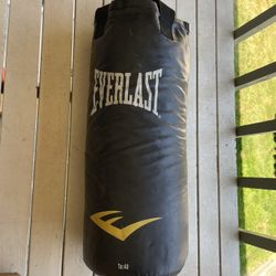 Punching Bag