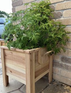 New cedar wood planters w/ handles