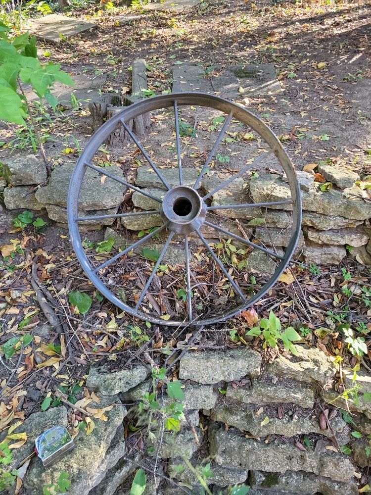 Cast Iron Buggie Wheel