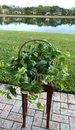 Artificial Plant in basket