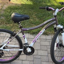 Genius whirl wind mountain bike