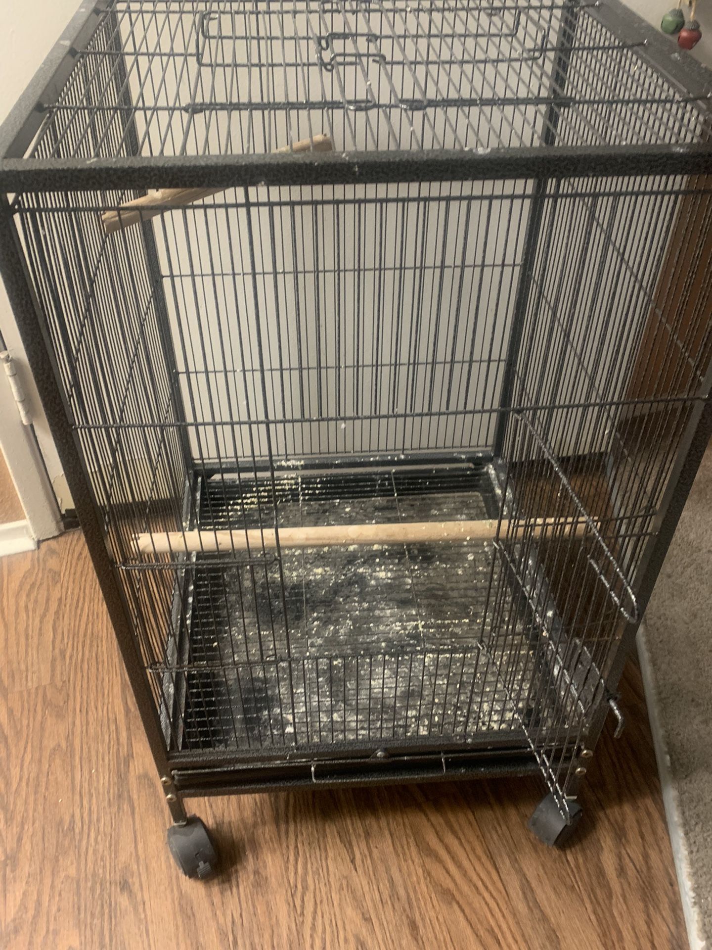 Bird Cage