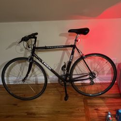 Trek Composite 2100  56cm Carbon