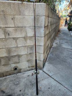 Saltwater rod