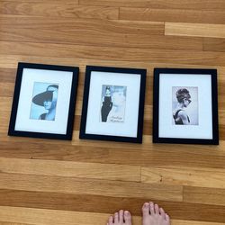 Audrey Hepburn Framed Pictures