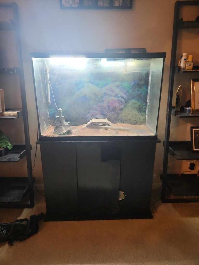 Fish Tank With Stand