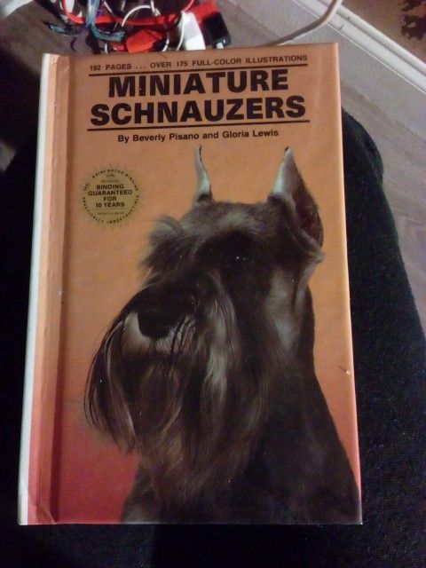 Miniature Schnauzers By Beverly Pisano And Gloria Lewis