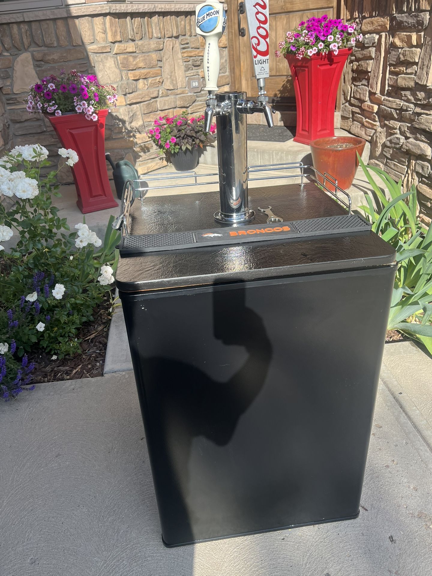 Dual Tap Kegerator