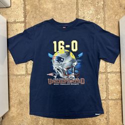 NFL New England Patriots Football 16-0 Undefeated Vintage