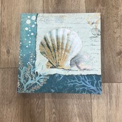 shell canvas frame 16x16