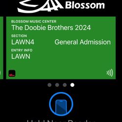 Doobie Brothers with Steve Winwood - 2 for