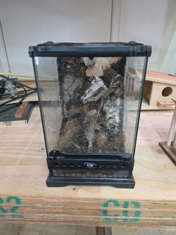 Exo Terra terrarium