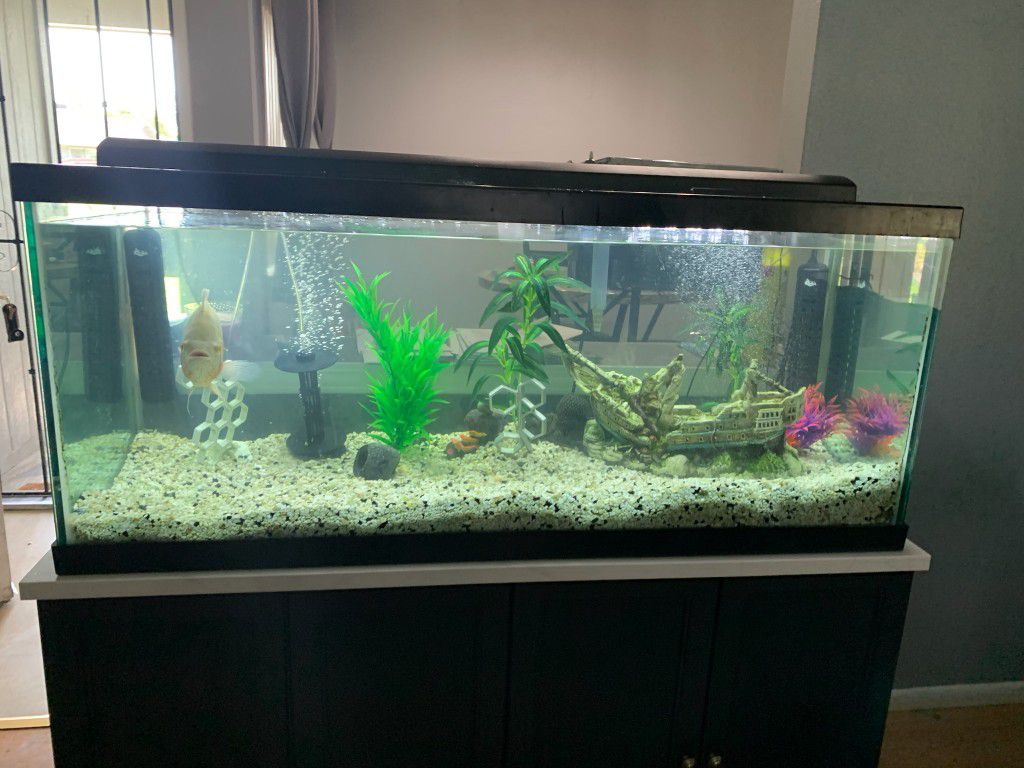 75 Gallon Fish Tank with all Decor and accessories 