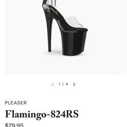 Pleaser Platform Dance Heel