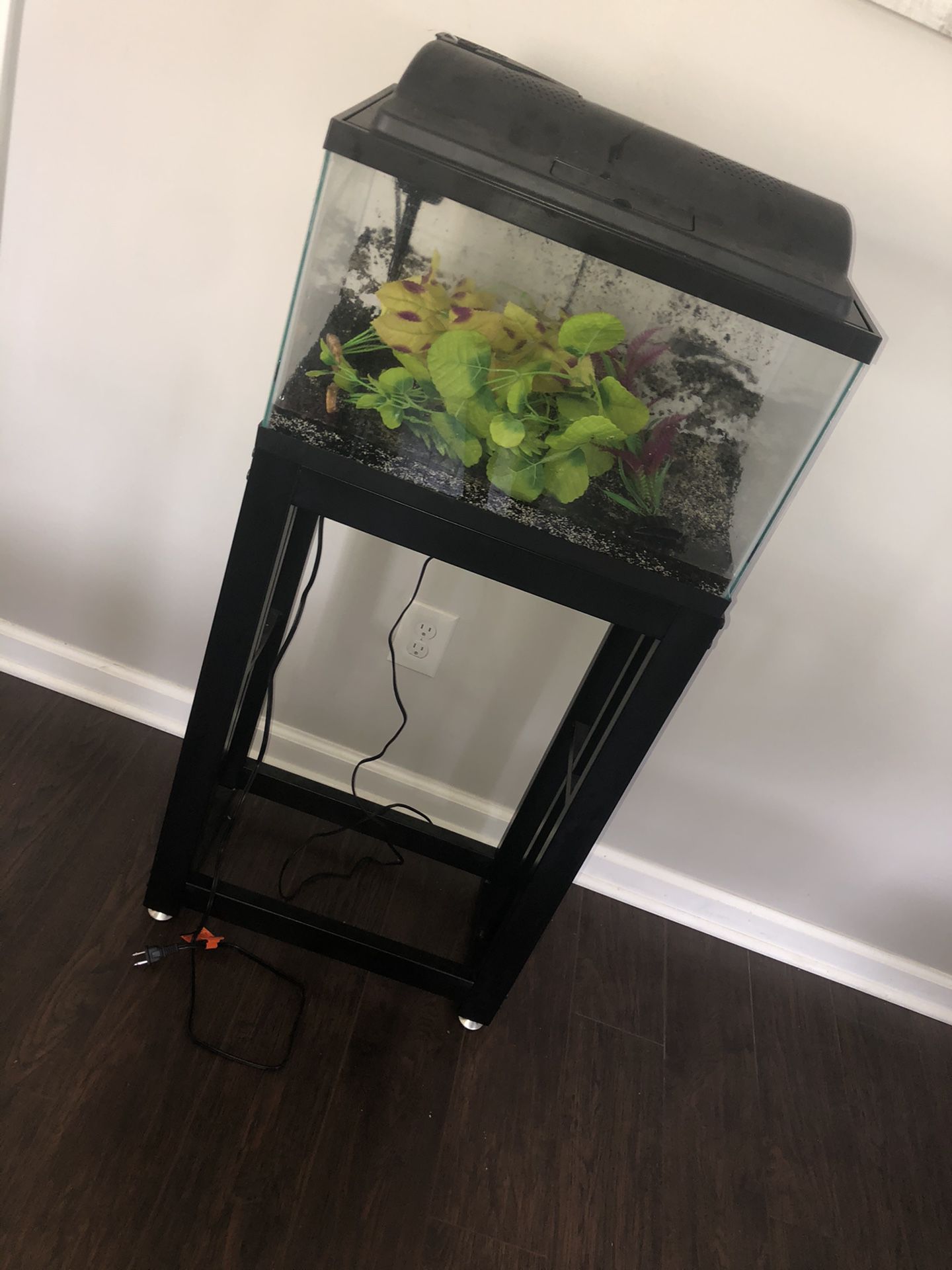 10 gallon fish tank with everything included