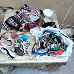 Bag full of pup accessories