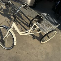 Adult Tricycle