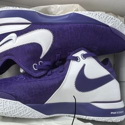 Nike ZOOM LEBRON NXXT GEN TB Promo Size 12.5
