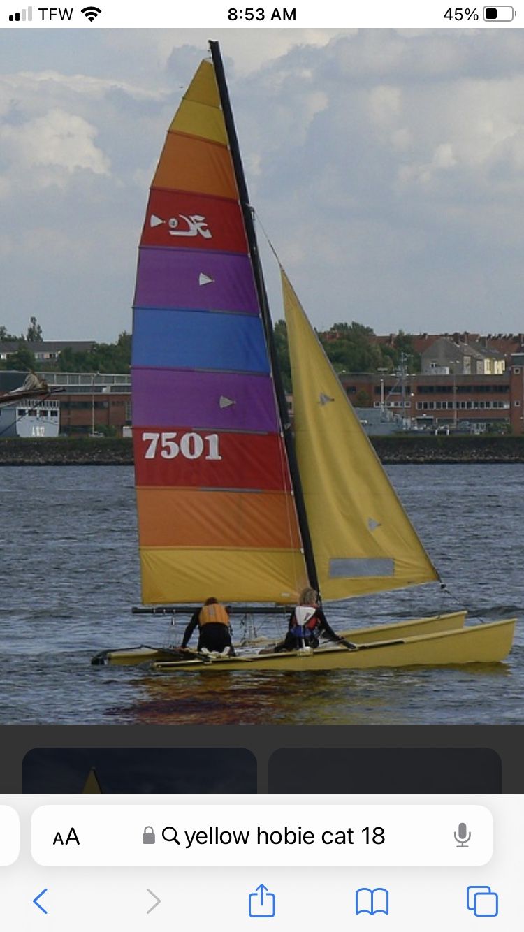 1989 Hobie cat 18’