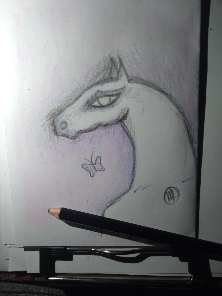 Oil Pastels Hand Drawn Horse Art On Paper Unframed 5x4 Inches