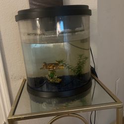 2 Gallon Fish Tank With Ocean Decor 