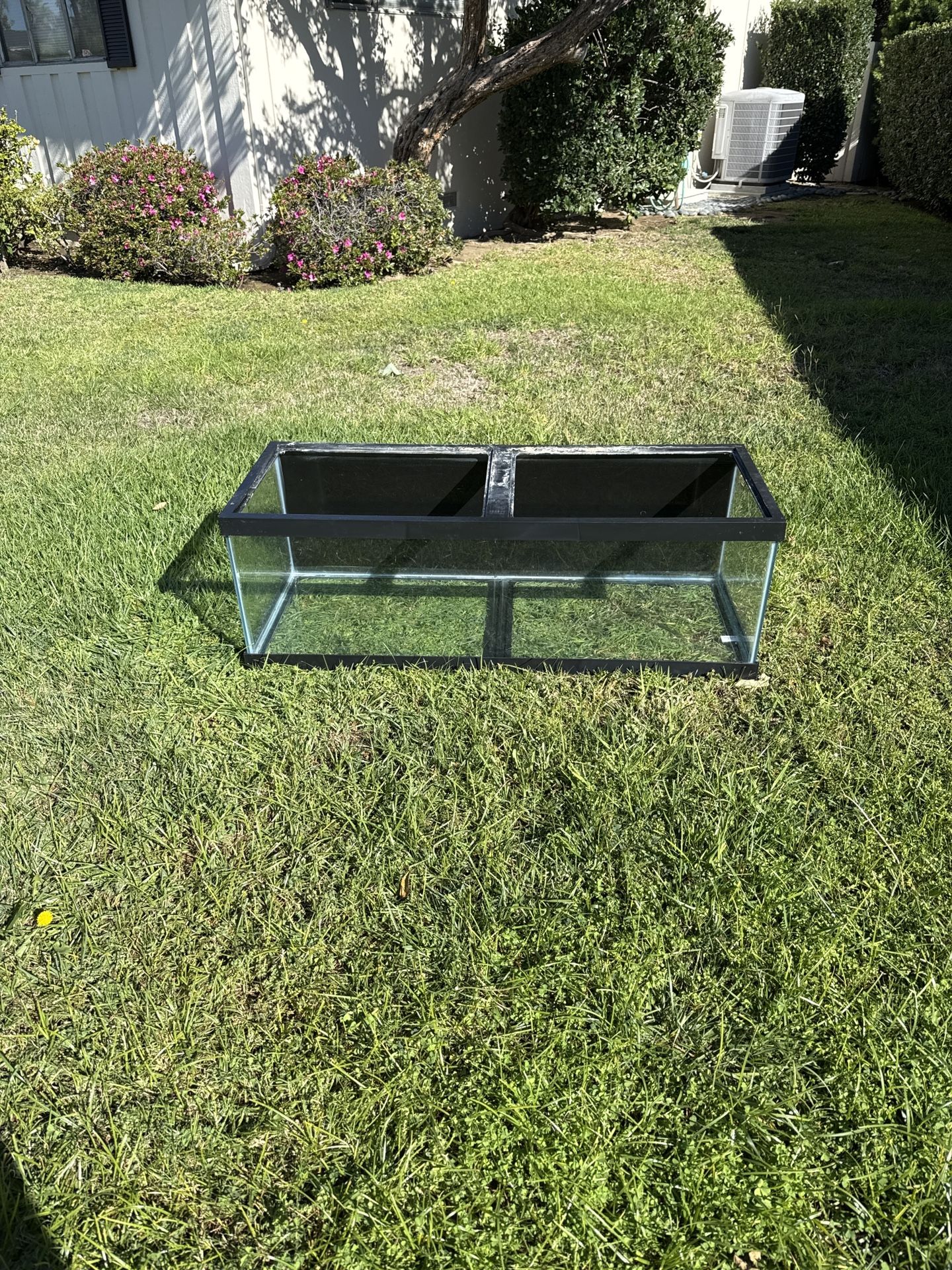 60g Glass Aquarium