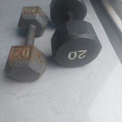 20lbs Dumbbells 