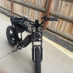 E bike Ridstar Q20