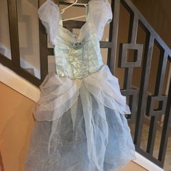 Cinderella Disney Custome