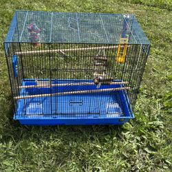 Bird Cage