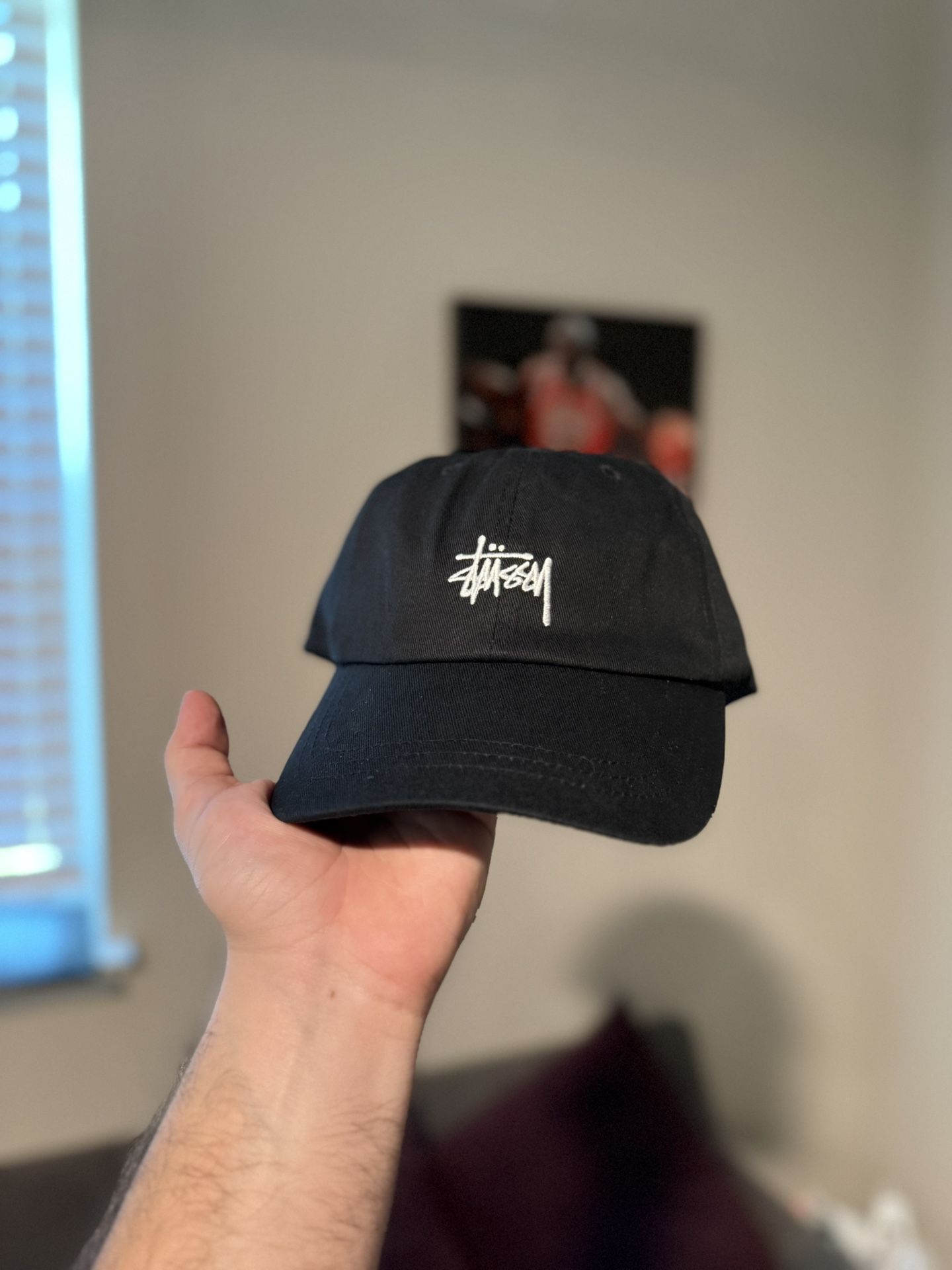 Stussy Basic Stock Low Pro Cap