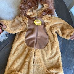 Lion costume