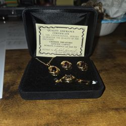 Genuine Garnet Jewery set