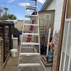 8ft Werner Ladder 