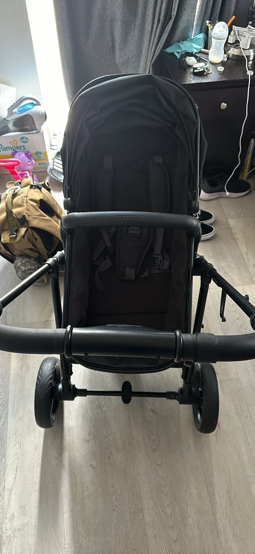 Mom push Stroller 