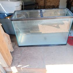 50 Gallon Fish Tank