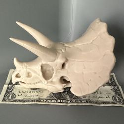 Dinosaur Fossils Skull Replica 3D Prints 