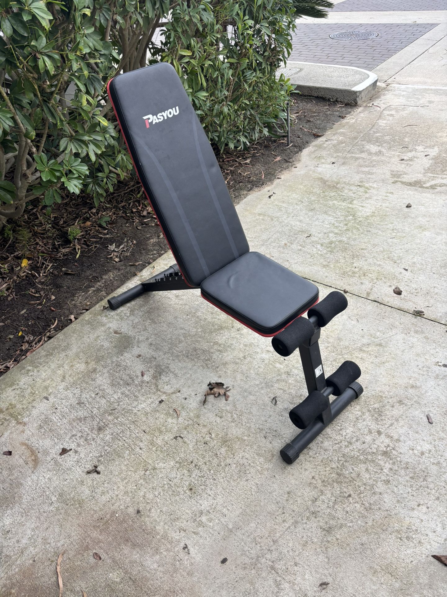 Workout Bench And Weights