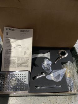 Brizo Shower Head