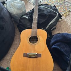 12 String Guitar 