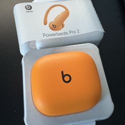 Beats Powerbeats Pro 2 Earbuds - Brand New 