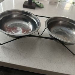 Dog bowl