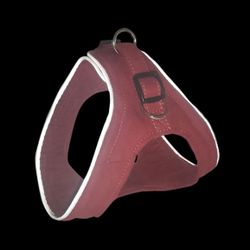 Harness & Leash Plus Treats 