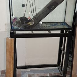 30 Gallon Fish Tank and Stand