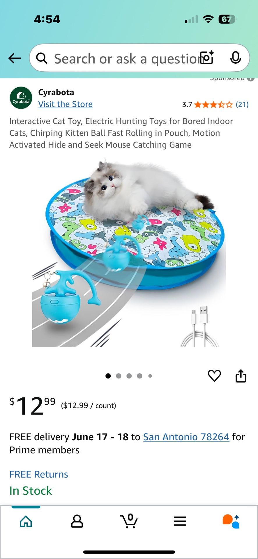 Cat Toy