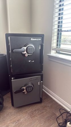 Sentry Safe bundle