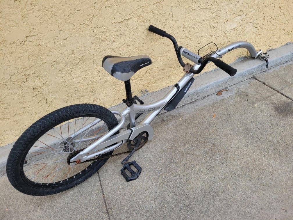Giant Trailer Bike Tag Along