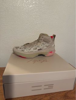 Jordan Shoes Size 13