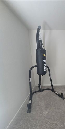 Everlast punching bag