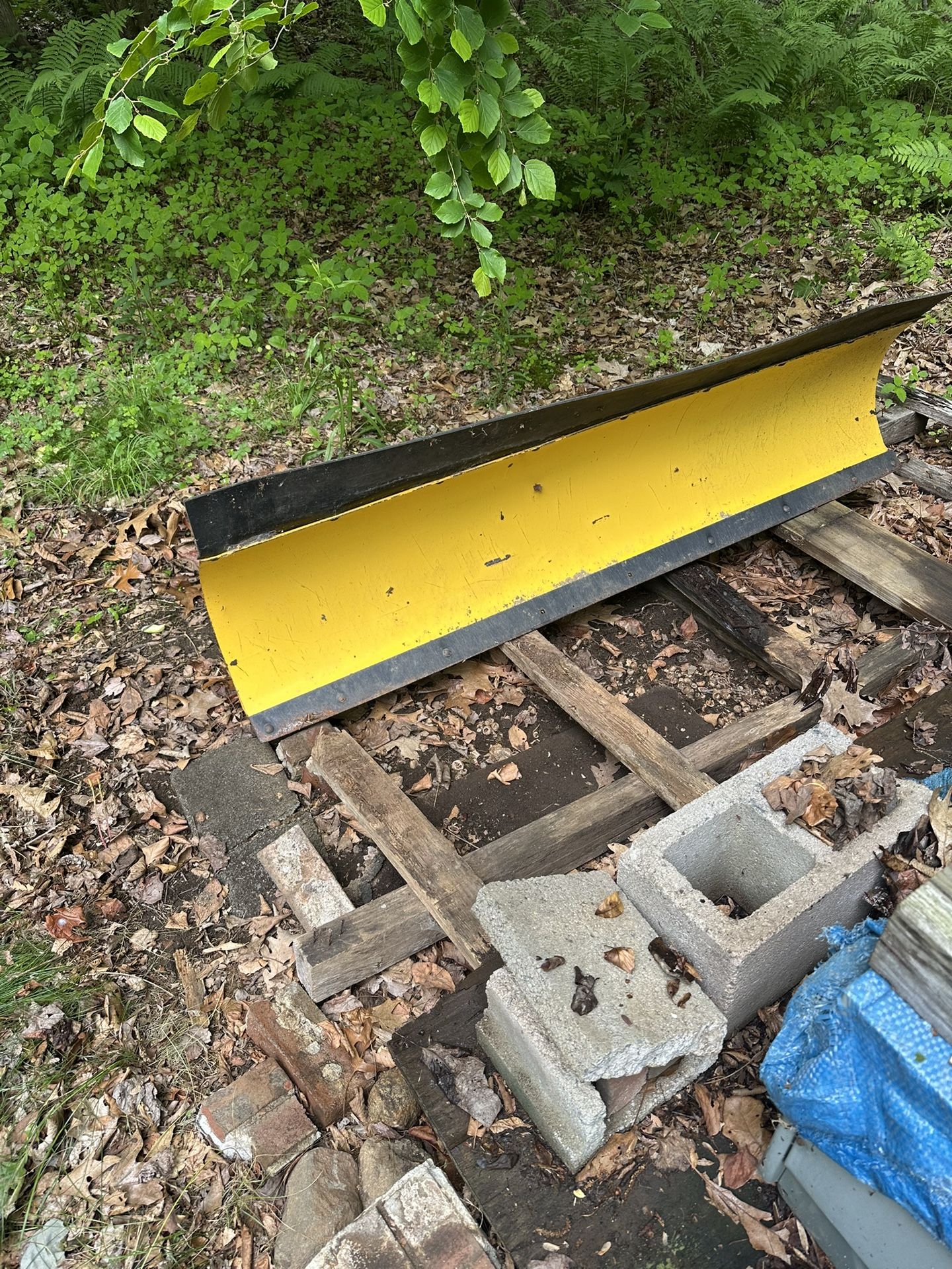 Moose Plow